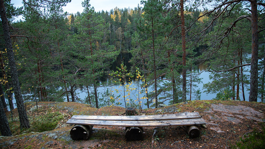 База отдыха Заветное, фото 25