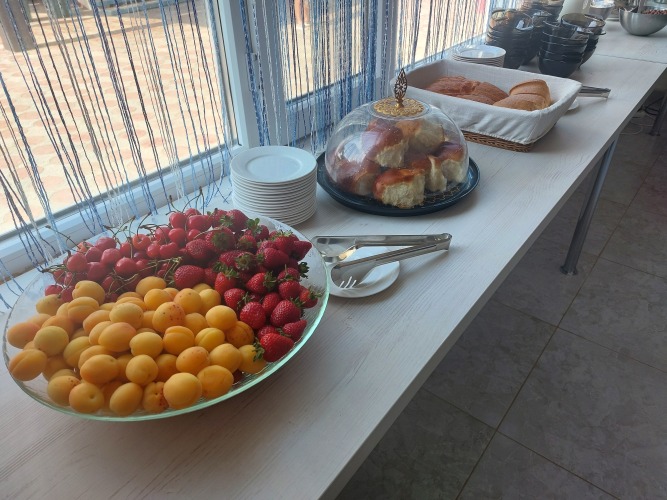 Электра Холидей, фото 29