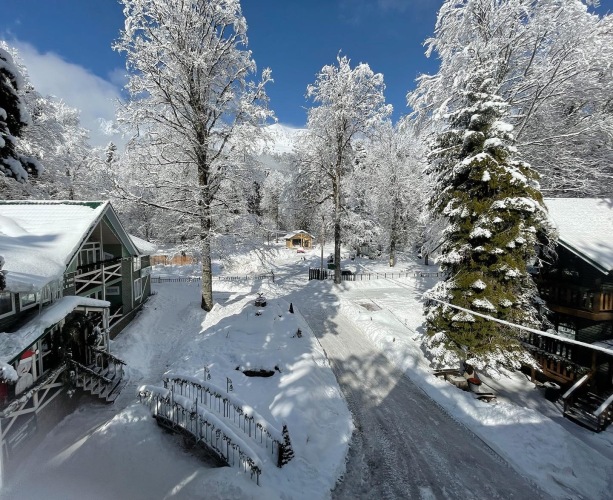 Отель Грин Парк & Спа, фото 25