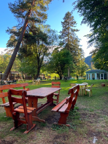 Отель Грин Парк & Спа, фото 28