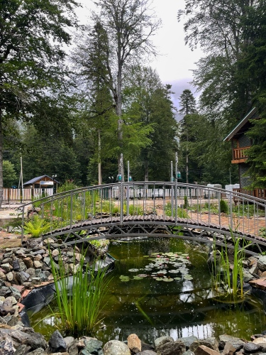 Отель Грин Парк & Спа, фото 51