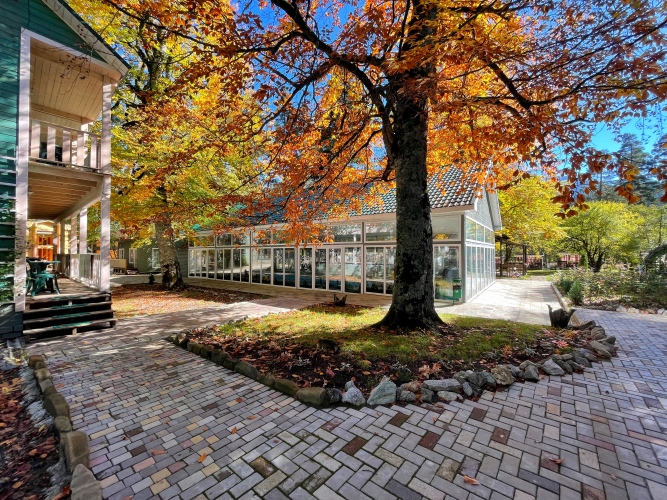 Отель Грин Парк & Спа, фото 60