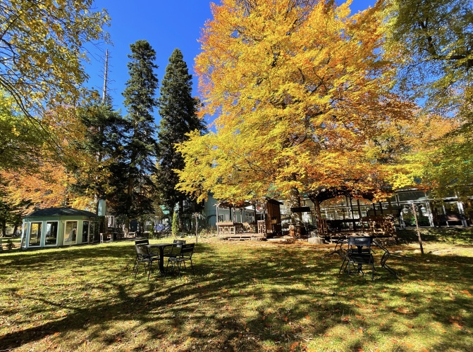 Отель Грин Парк & Спа, фото 62