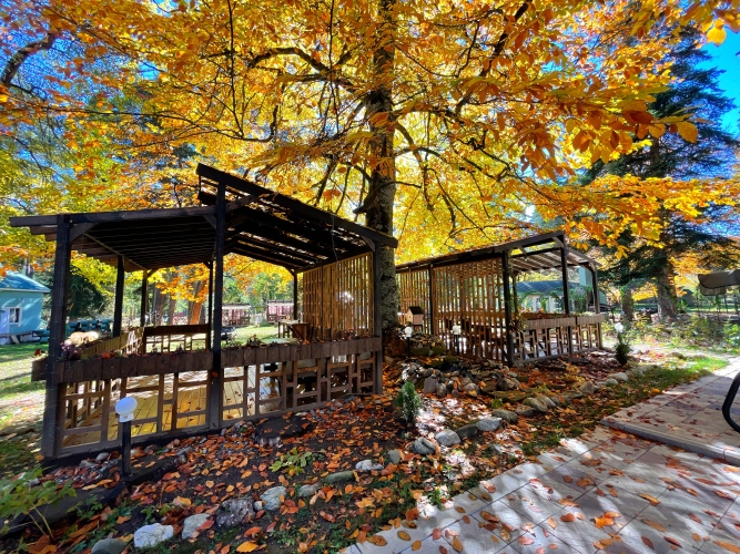 Отель Грин Парк & Спа, фото 64