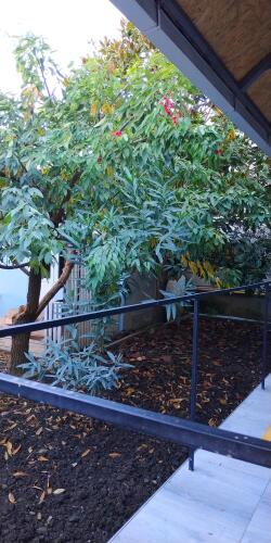 Гостевой дом МореТур, фото 58