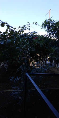 Гостевой дом МореТур, фото 59