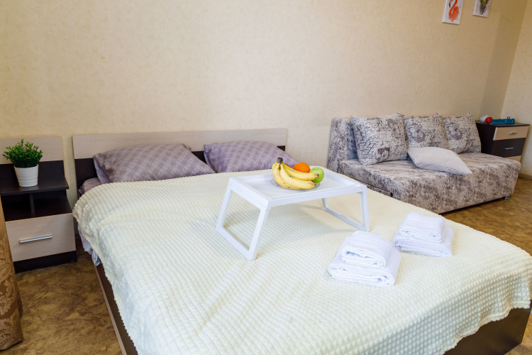 Апартаменты Dayker City Apartments Уютные на Чкалова 5, фото 14