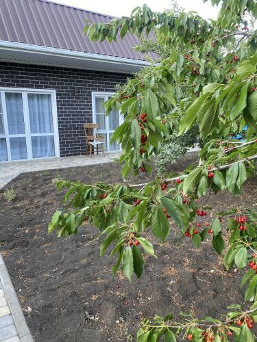 Дом VIP HOUSE, фото 74