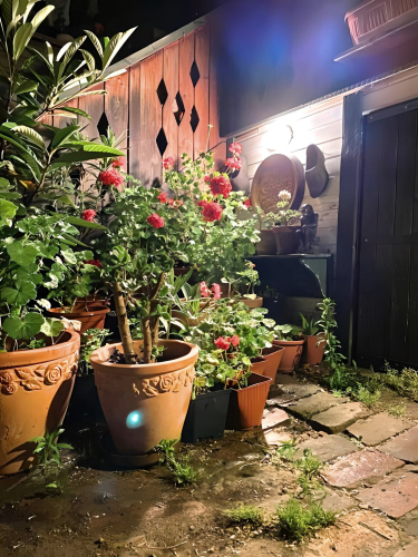 Квартира в Центре, фото 42