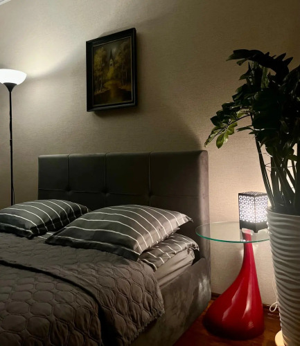 Апартаменты в историческом районе на Чайковского 16 ( Бывшая Шуберт штрассе), фото 40