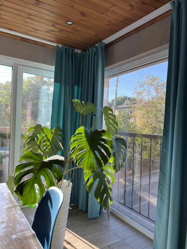 Апартаменты Rose Lux Wood, фото 20