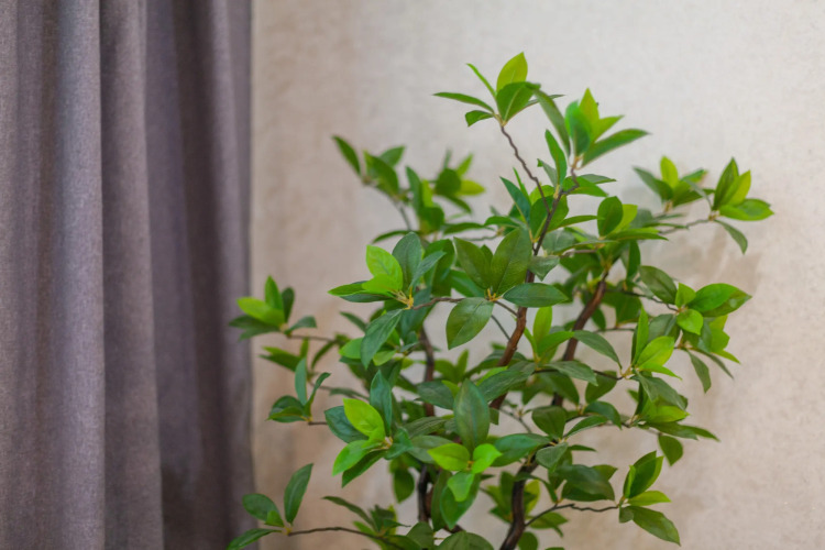 Квартира Stylish Apartments, фото 27