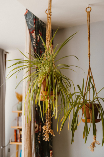 Апартаменты  Дизайнерские с панорамными окнами, фото 52