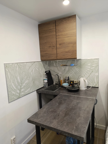 Квартира Студия на Пушкина, фото 15