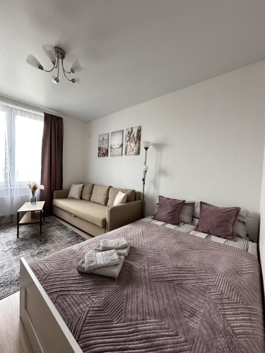 Апартаменты Уютная квартира возле ТЦ Москва, фото 37