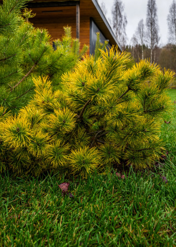 База отдыха RentalSPb Redlake Красное Озеро, фото 93