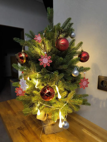 База отдыха RentalSPb Redlake Красное Озеро, фото 100