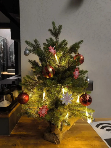 База отдыха RentalSPb Redlake Красное Озеро, фото 103