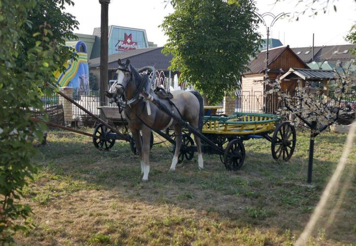 Харбор, фото 75