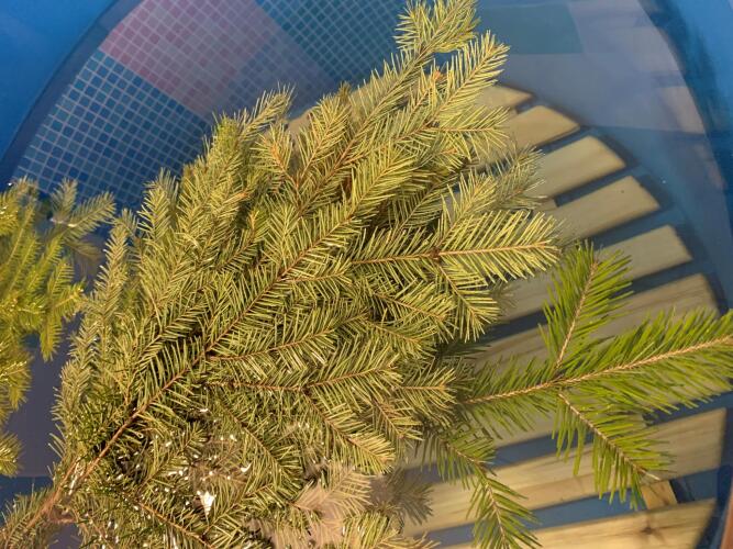 Компас, фото 41