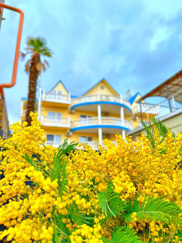 Отель Looguna, фото 52