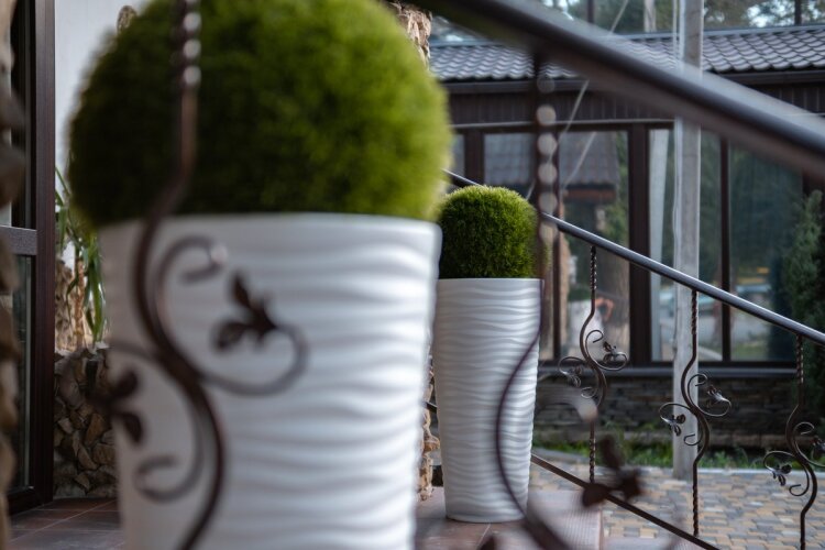 Мини-отель Silver House, фото 61