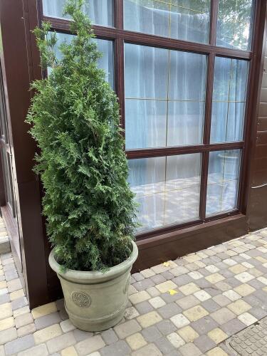 Мини-отель Silver House, фото 62