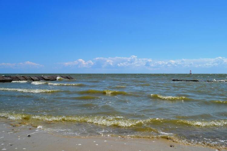 Ника, фото 71