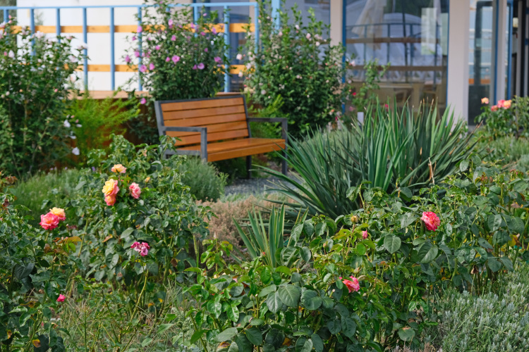 Отель Santorini, фото 14