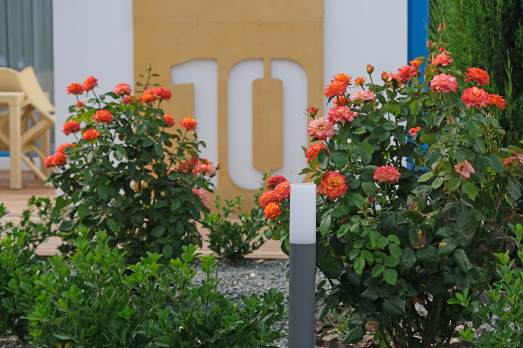 Отель Santorini, фото 16