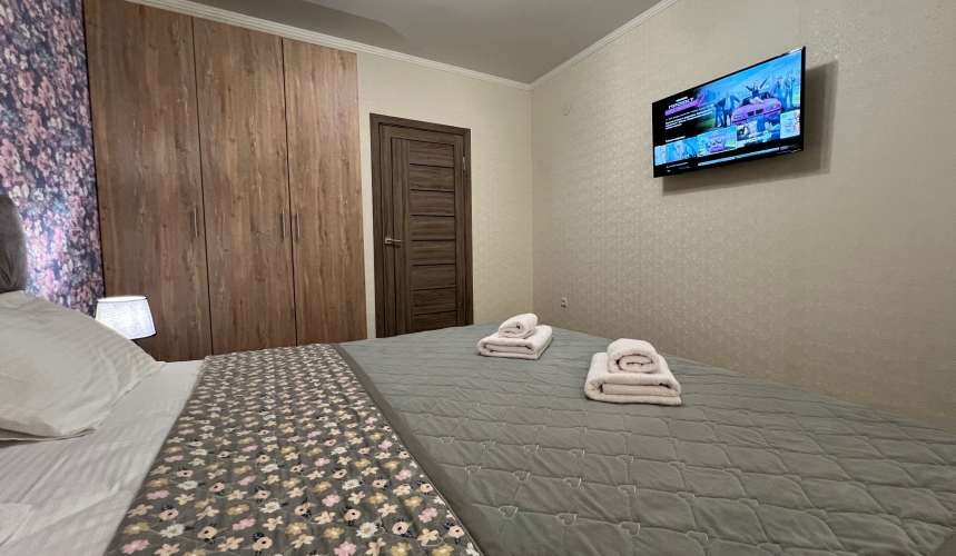 Апартаменты Однокомнатная квартира на Московской, 101, фото 34