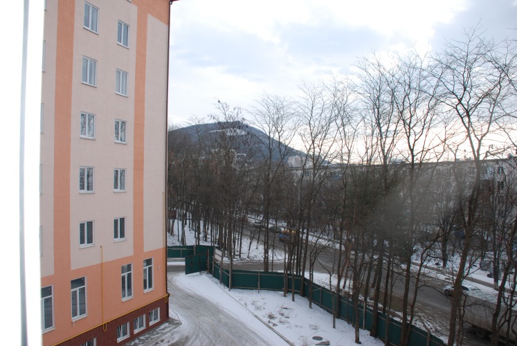 Апартаменты Однокомнатная квартира на Московской, 101, фото 42