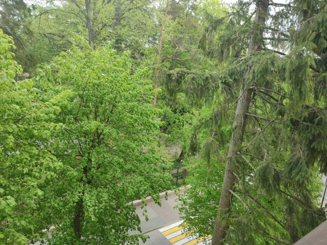 Апартаменты Апарт Трофи у парка, фото 38