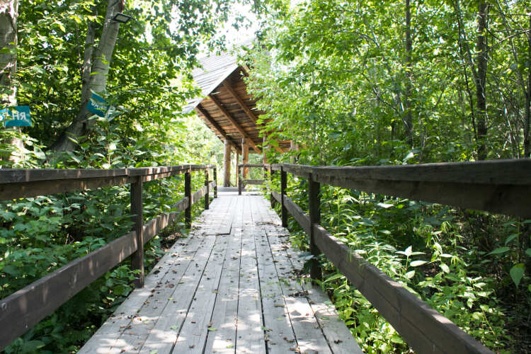 Загородный комплекс Аракуль, фото 31