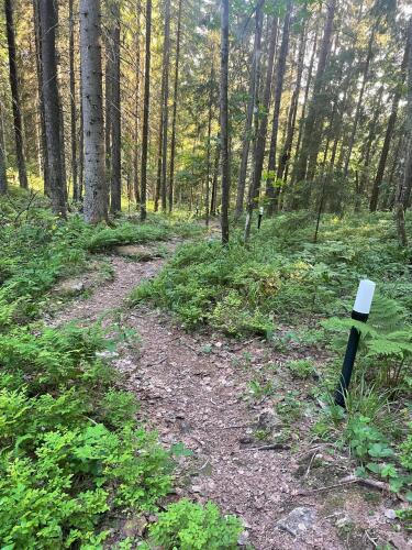 Бунгало Дача Долос, фото 21