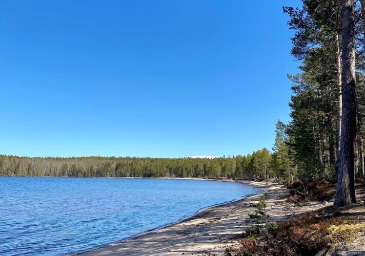 Челмужская усадьба, фото 22