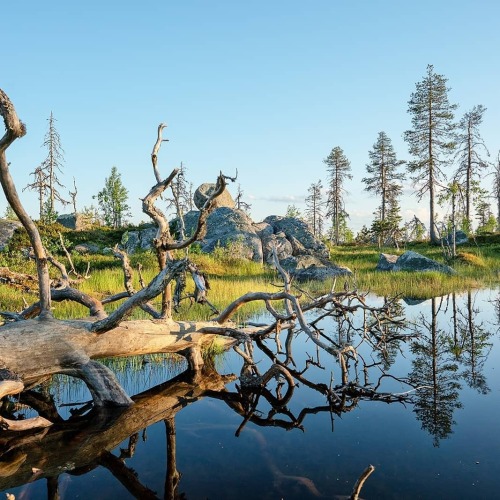 Челмужская усадьба, фото 23