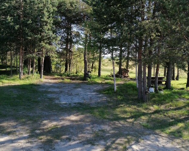 Челмужская усадьба, фото 25