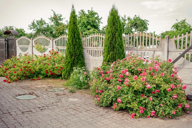 Дом бунгало, фото 19