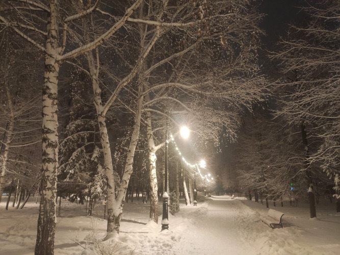 Апартаменты Семейные Botanica, фото 48