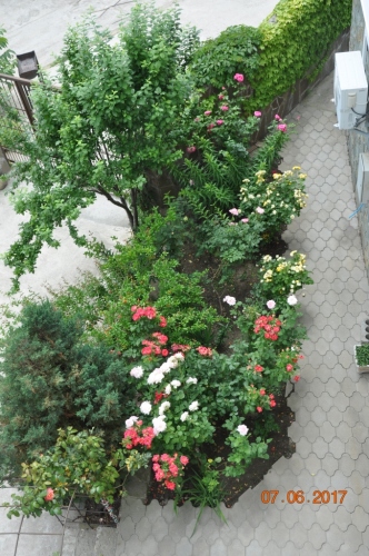 Гостевой дом Мармари, фото 59