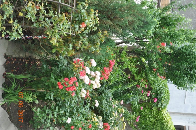 Гостевой дом Мармари, фото 61