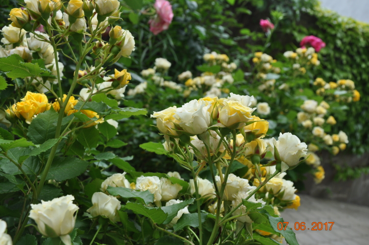 Гостевой дом Мармари, фото 66