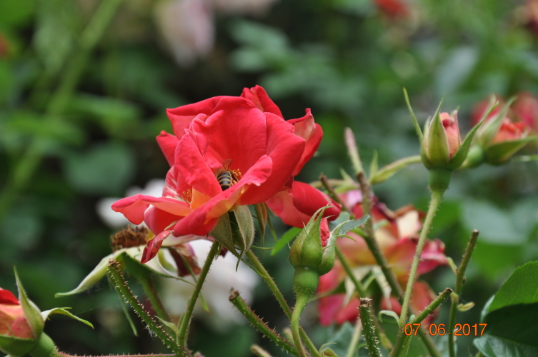 Гостевой дом Мармари, фото 67