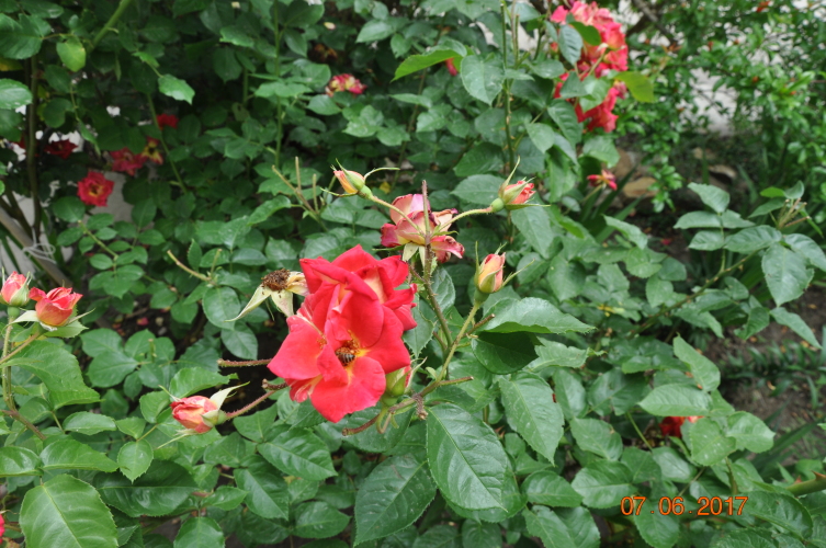 Гостевой дом Мармари, фото 68