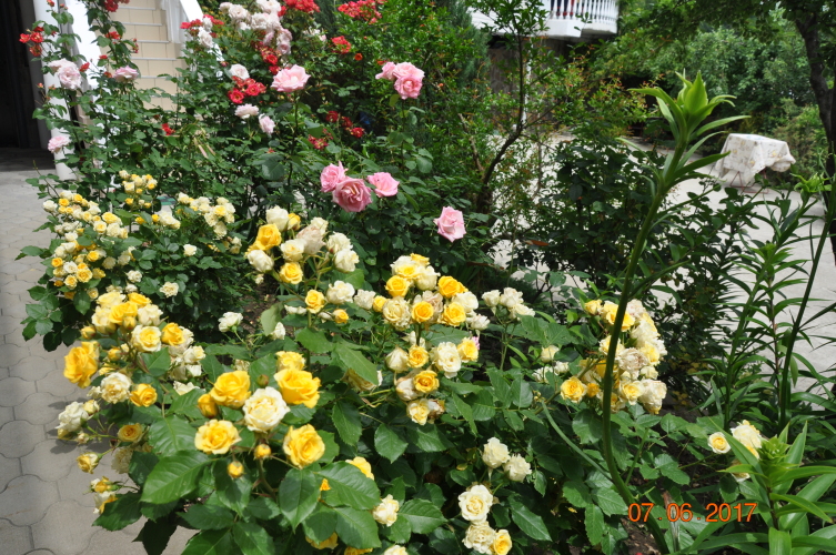 Гостевой дом Мармари, фото 69