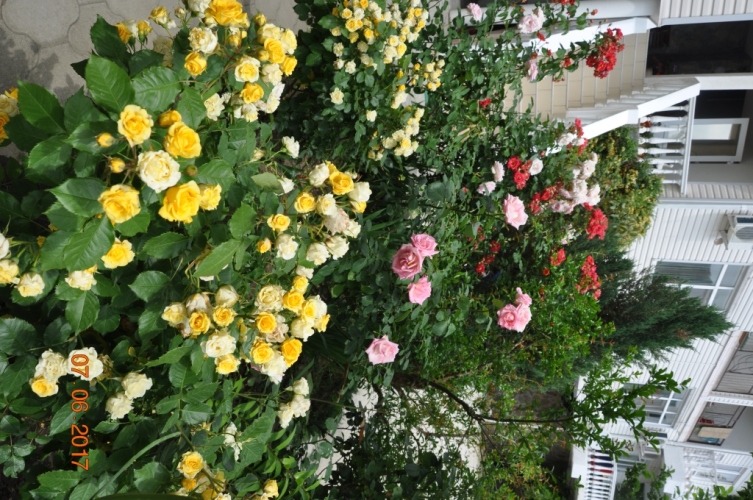 Гостевой дом Мармари, фото 70