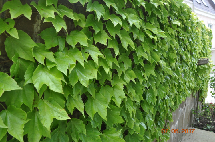 Гостевой дом Мармари, фото 71