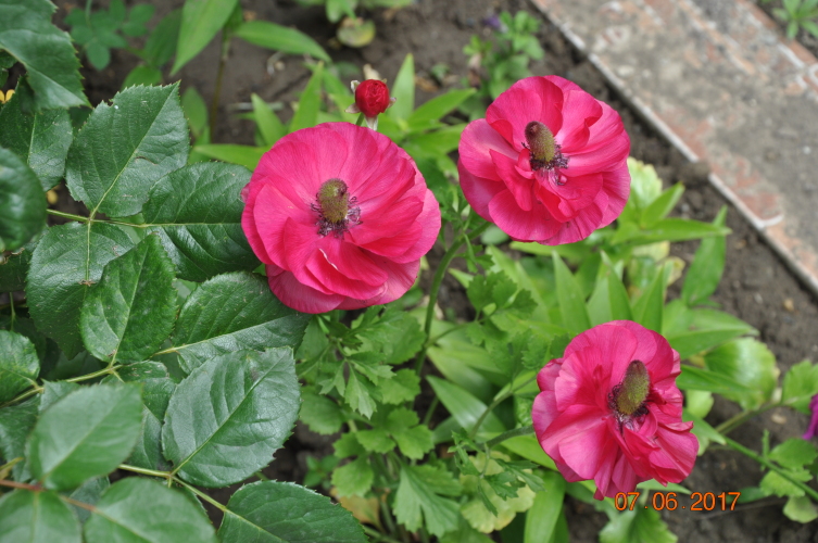 Гостевой дом Мармари, фото 72