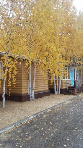 V Dorozhnom, фото 9